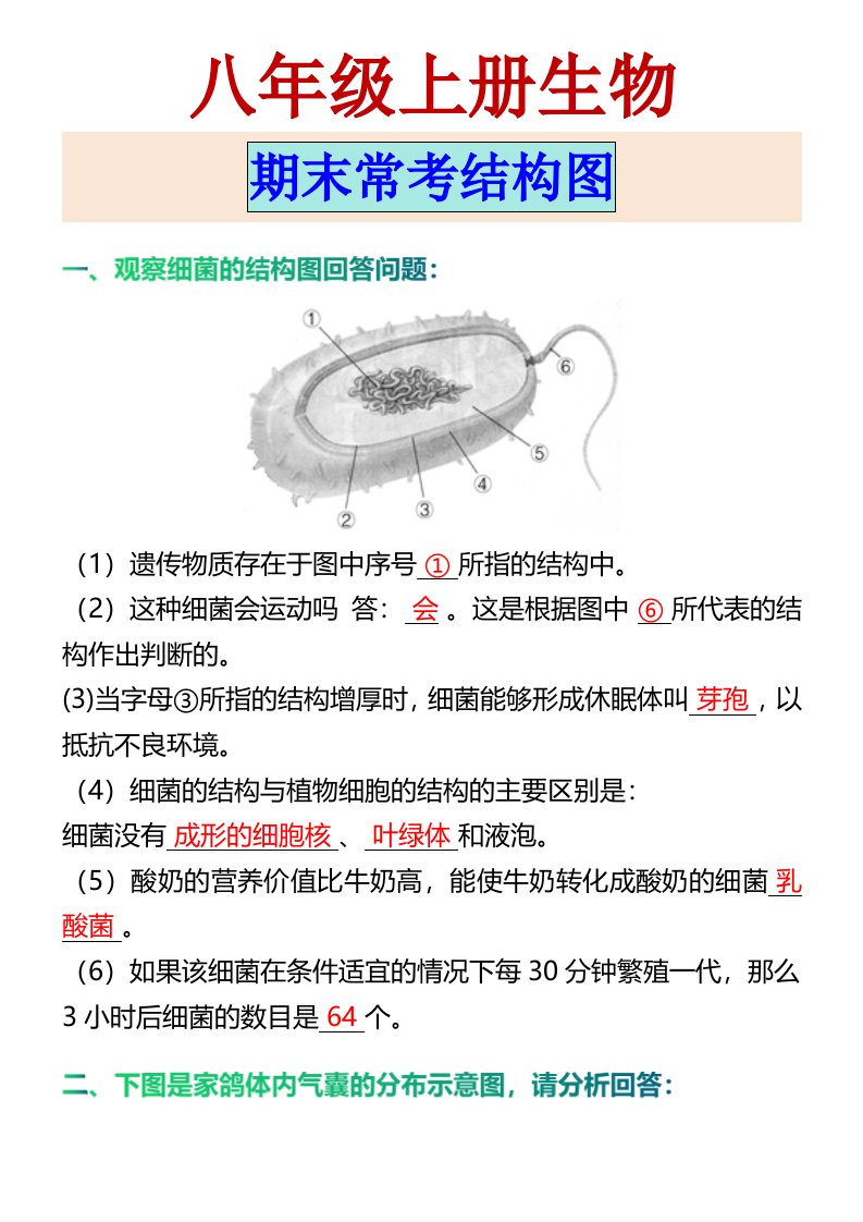 资料预览 第1页