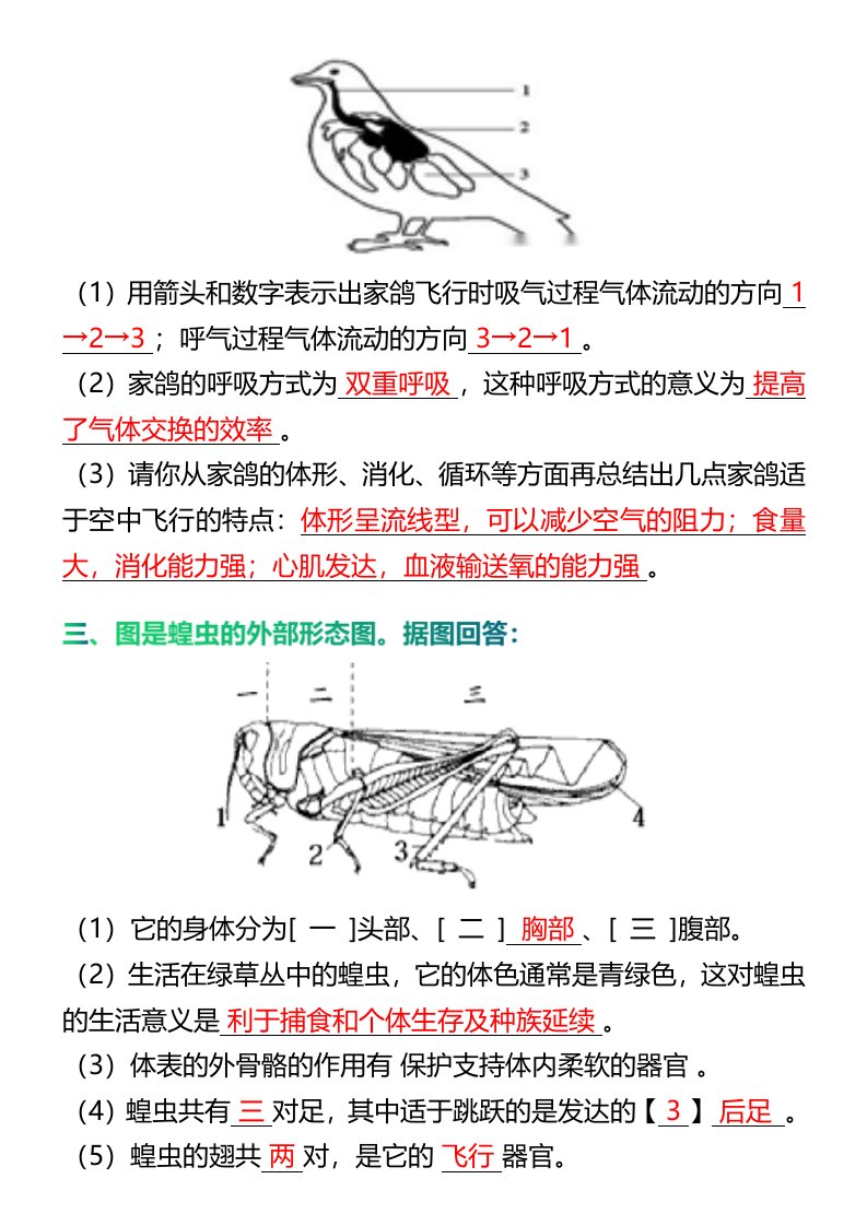 资料预览 第2页