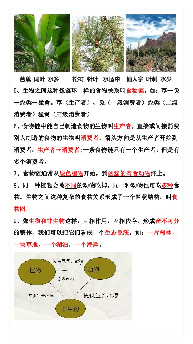 资料预览 第2页