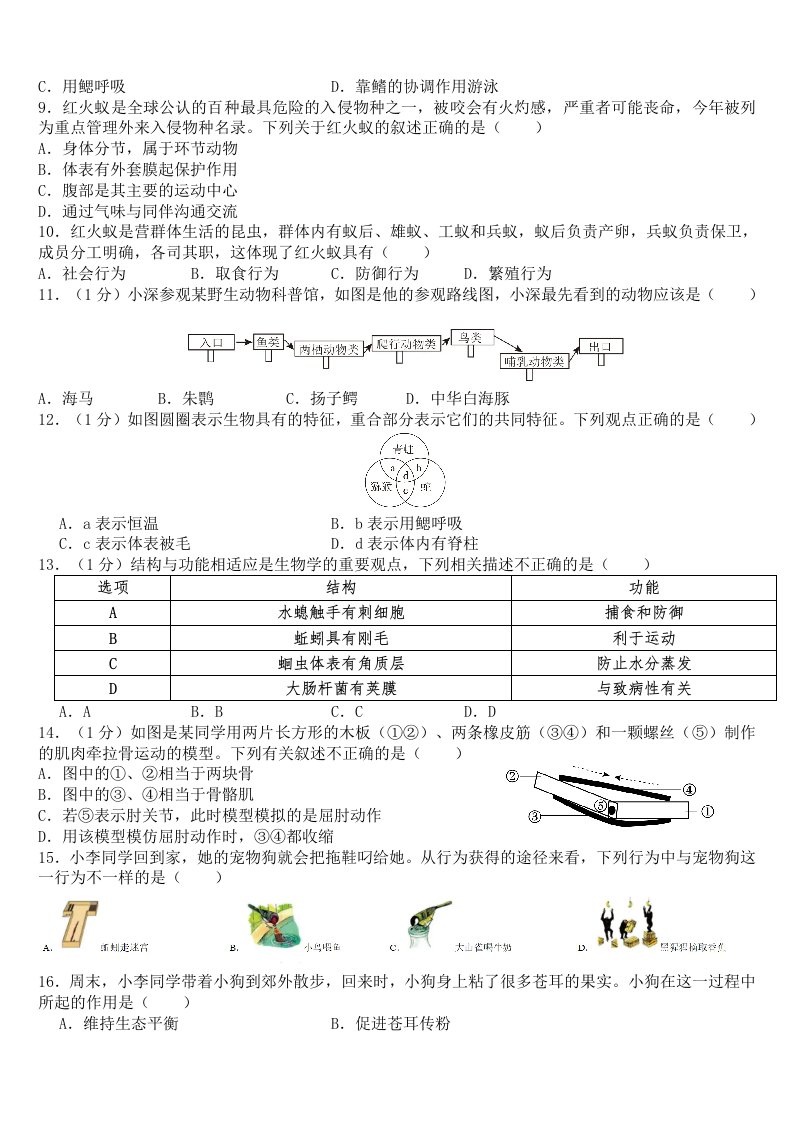 资料预览 第2页