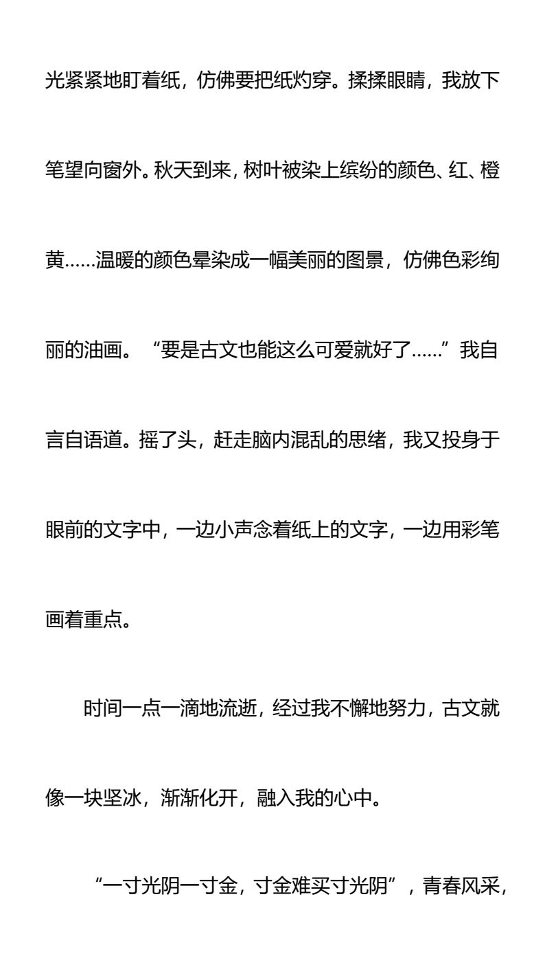 资料预览 第2页