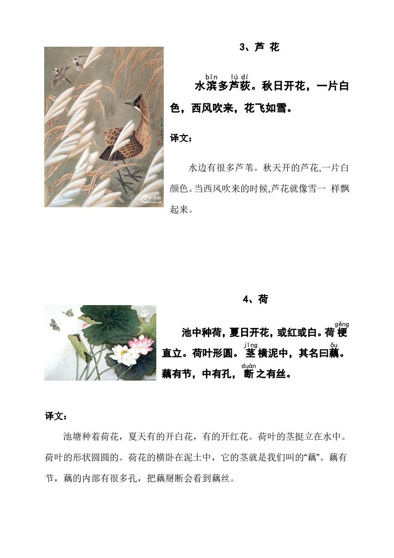 资料预览 第2页