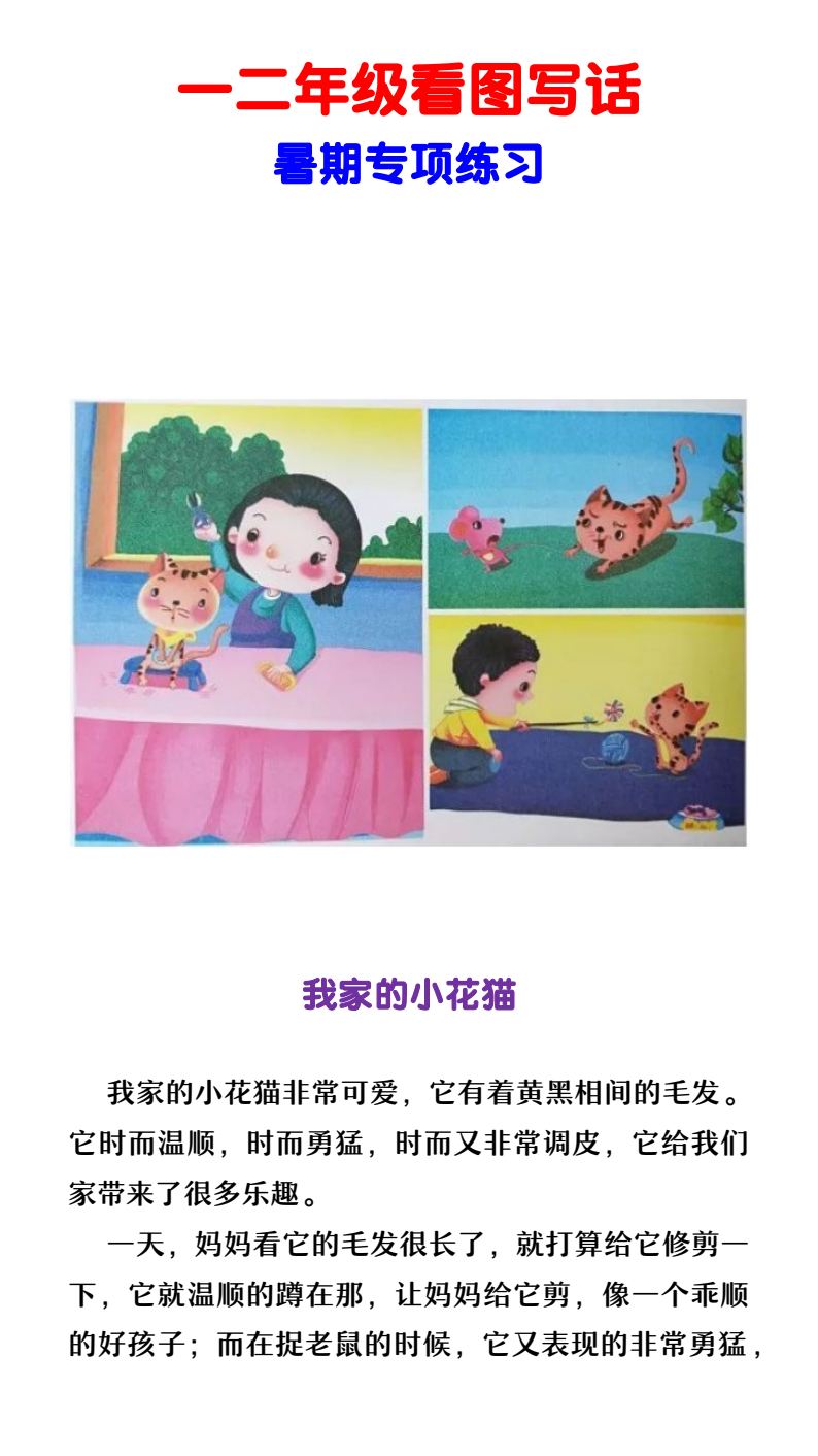 资料预览 第1页