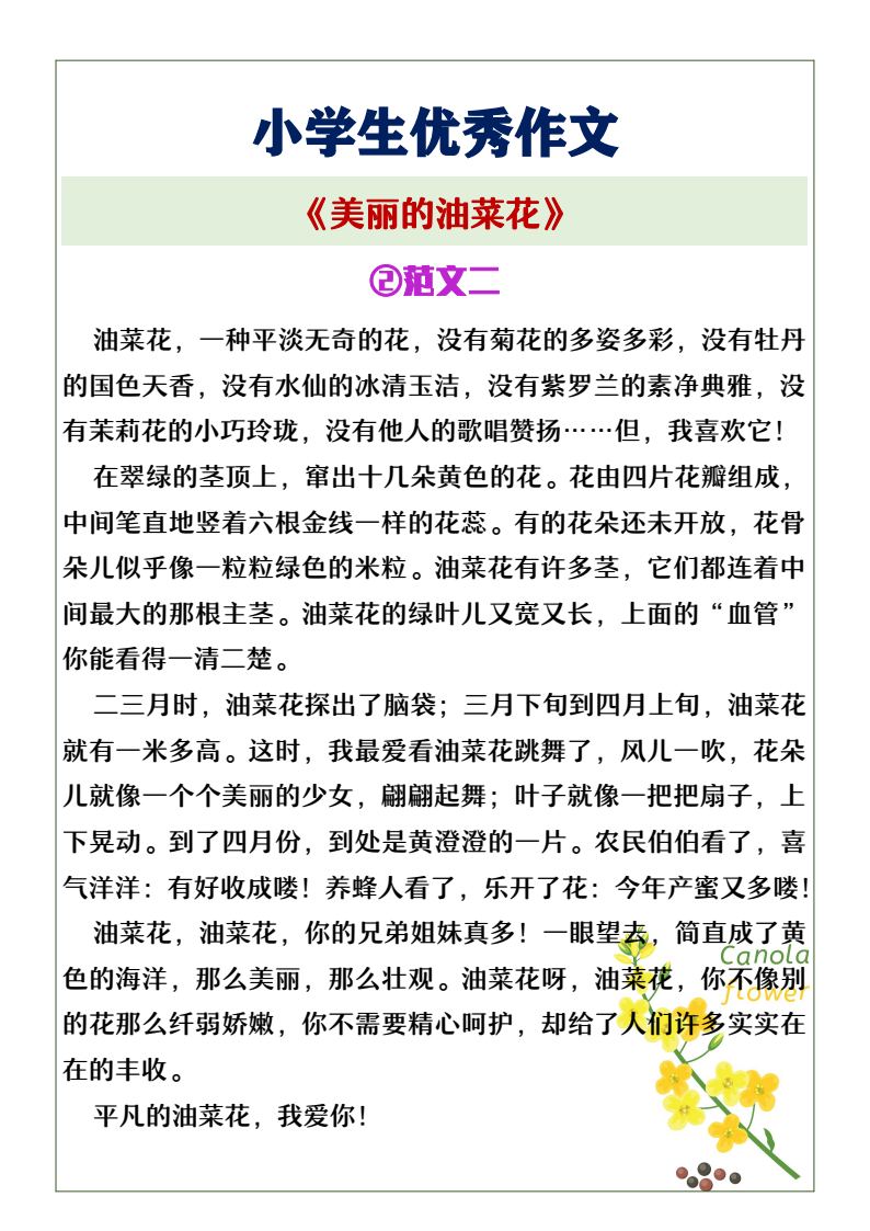 资料预览 第2页