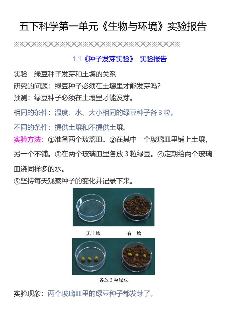 资料预览 第1页