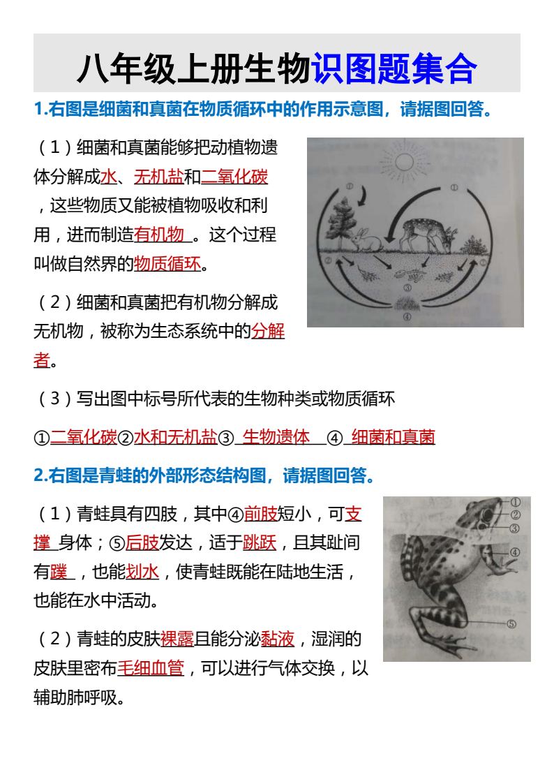 资料预览 第1页