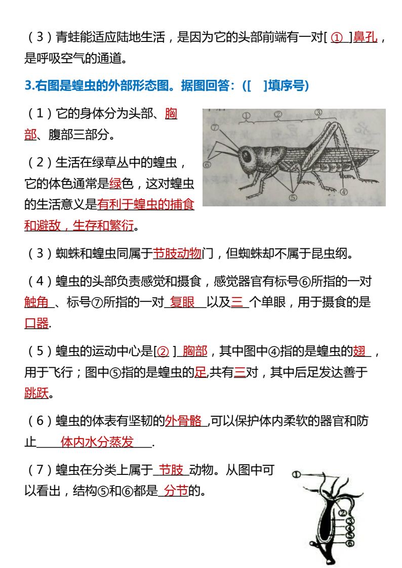 资料预览 第2页