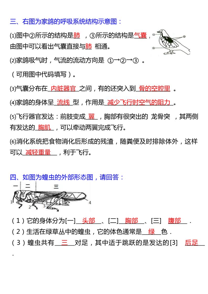 资料预览 第2页