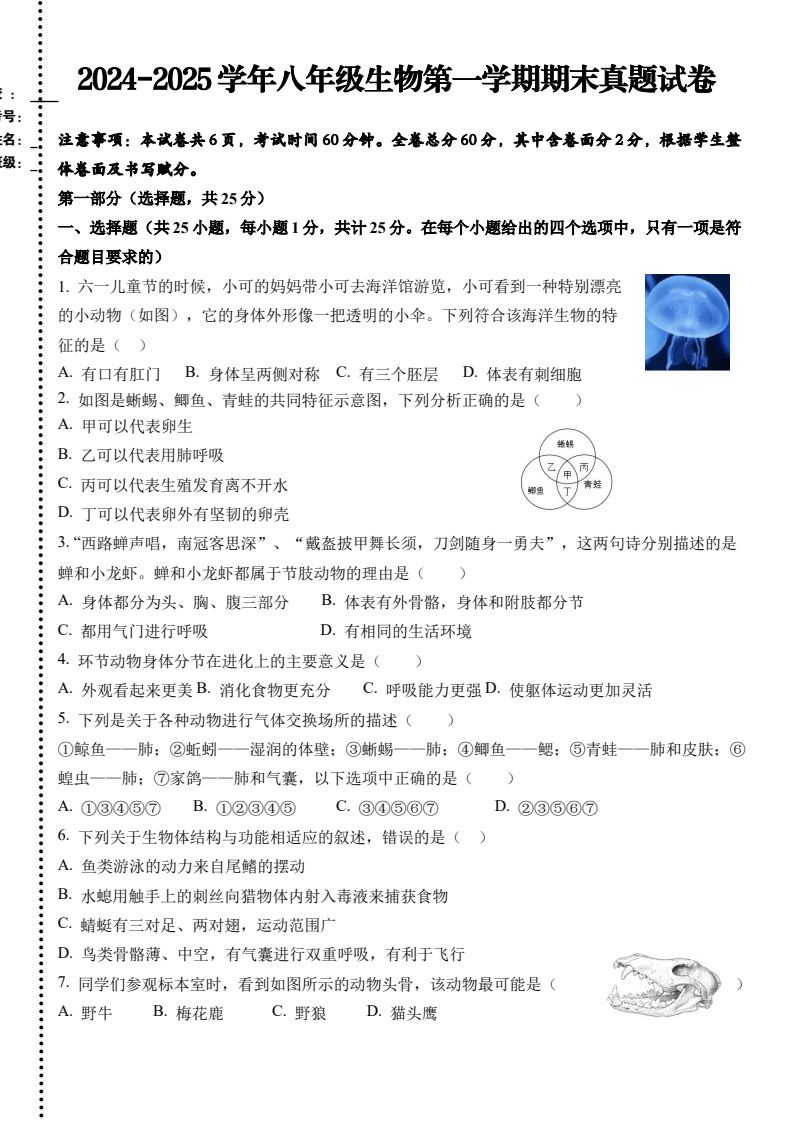 资料预览 第1页