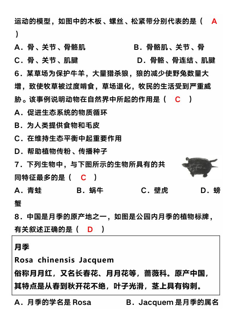 资料预览 第2页