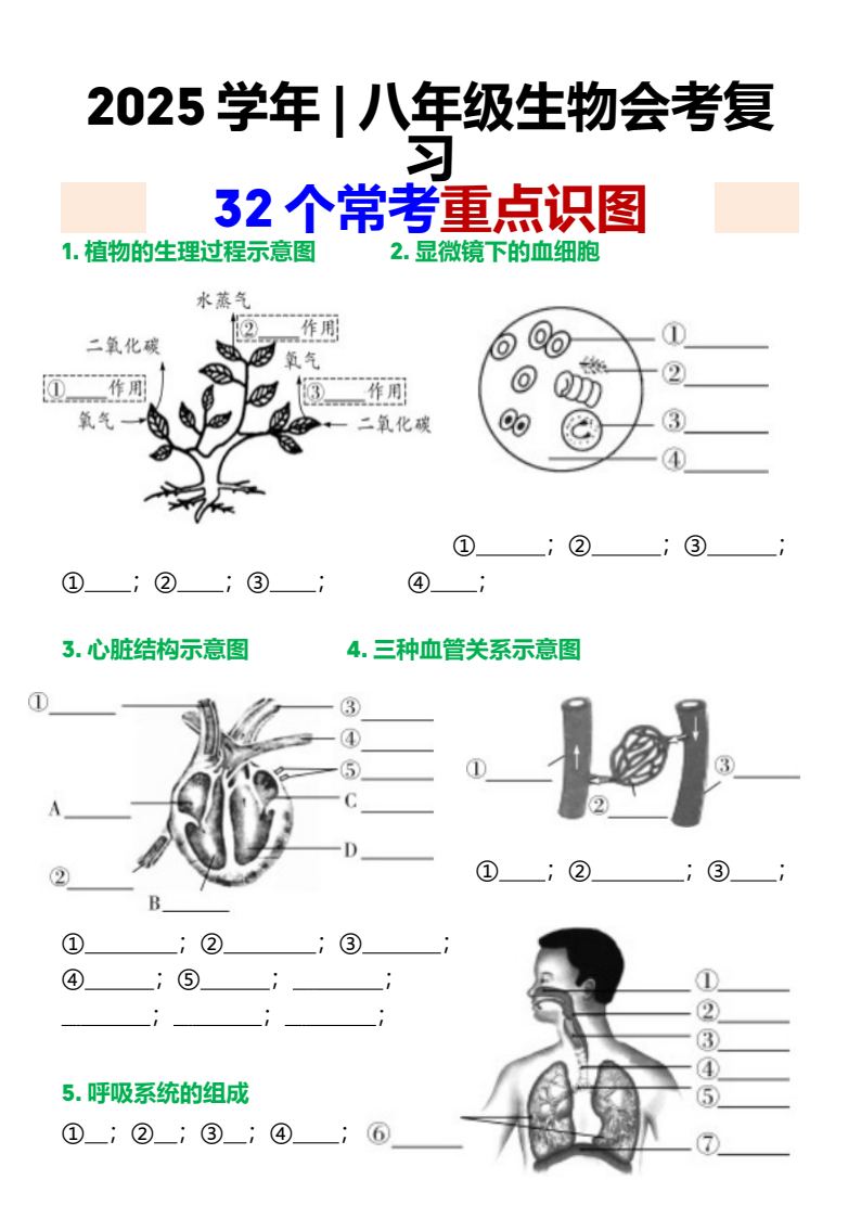 资料预览 第1页