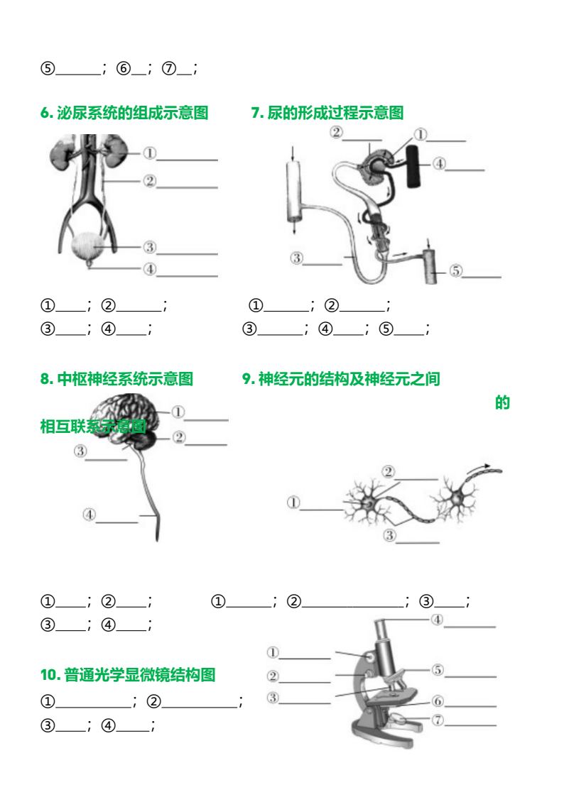 资料预览 第2页