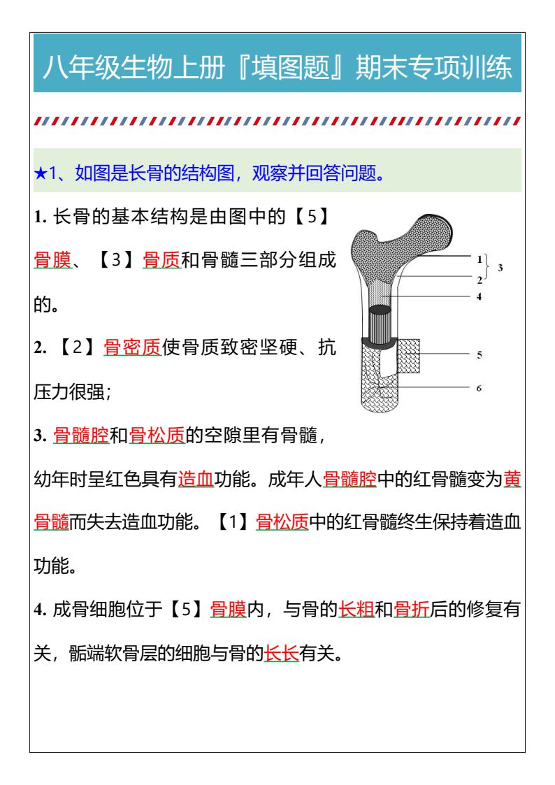 资料预览 第1页