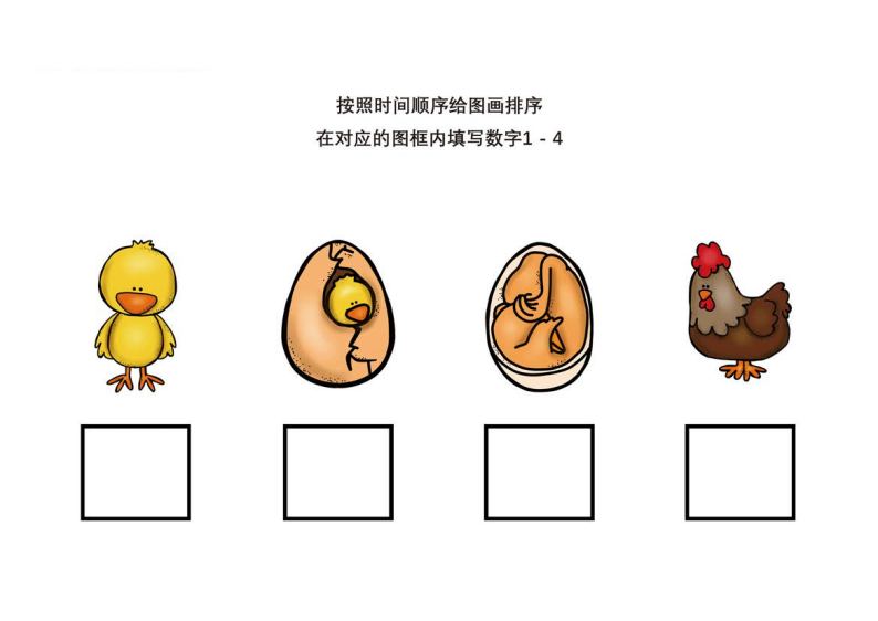 资料预览 第1页