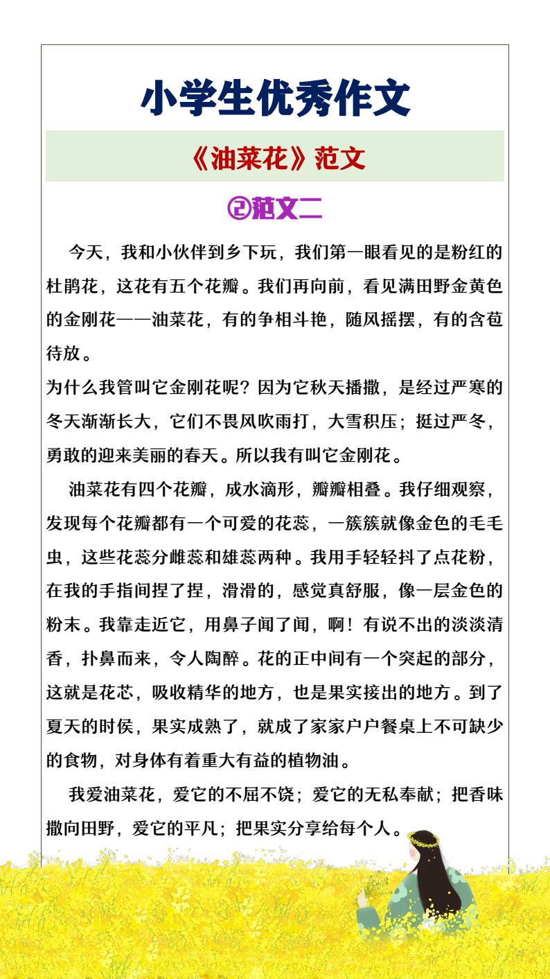 资料预览 第2页