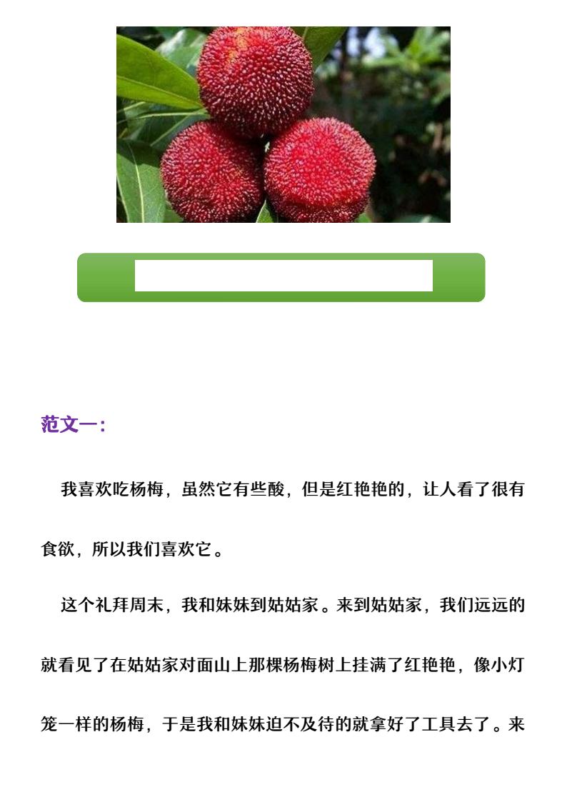 资料预览 第1页