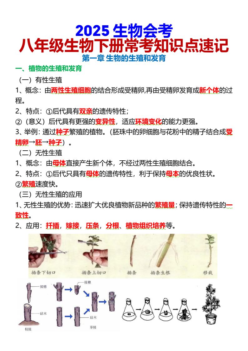 资料预览 第1页
