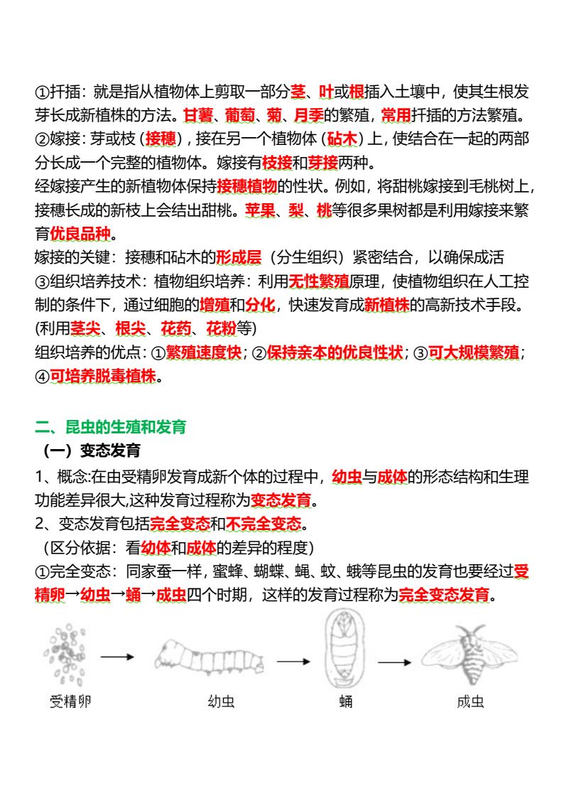 资料预览 第2页