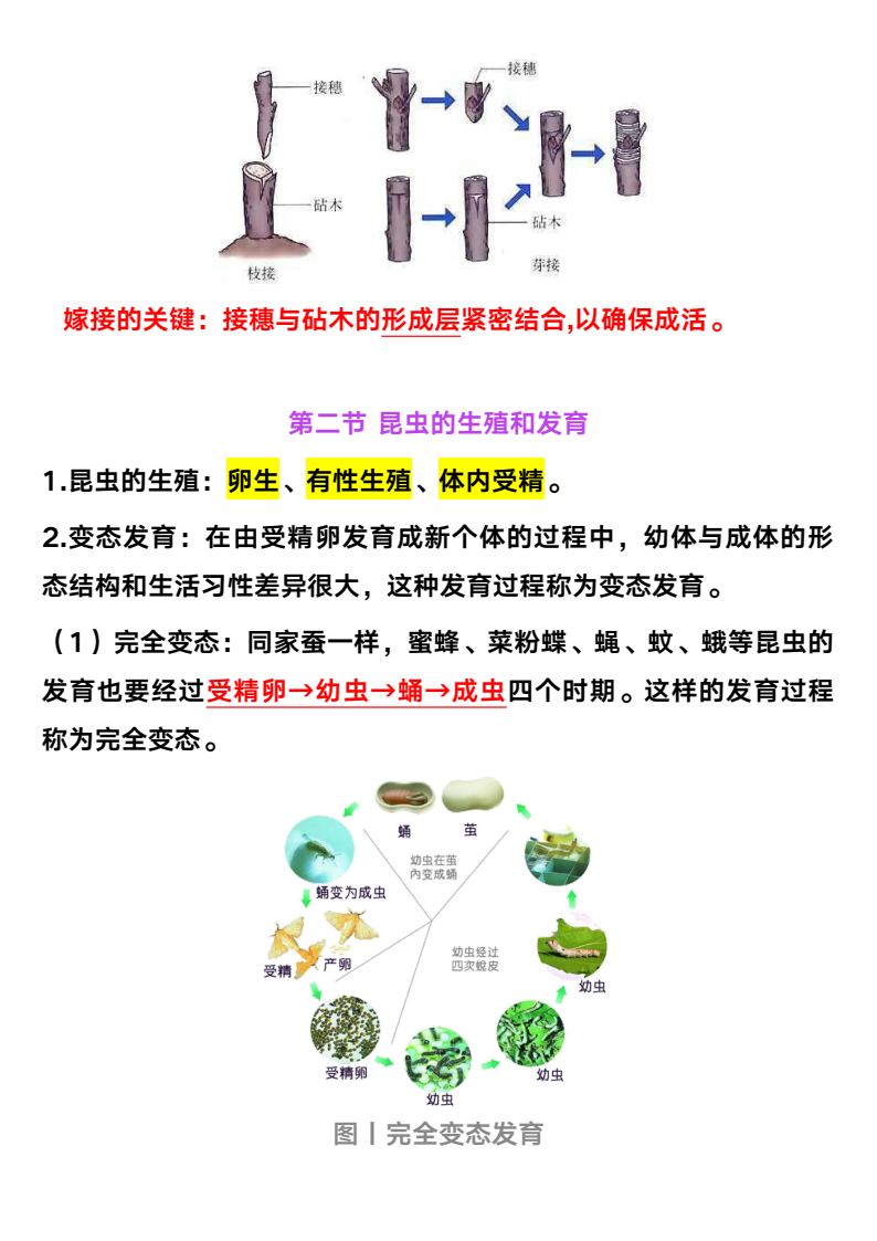 资料预览 第2页
