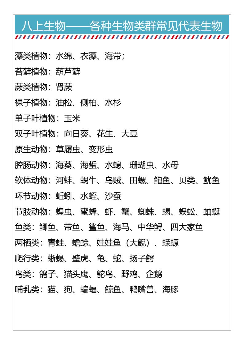 资料预览 第1页