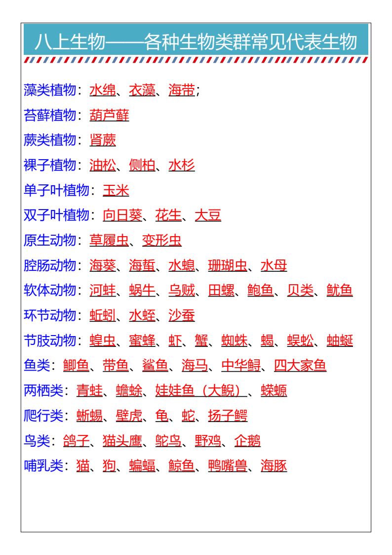 资料预览 第2页