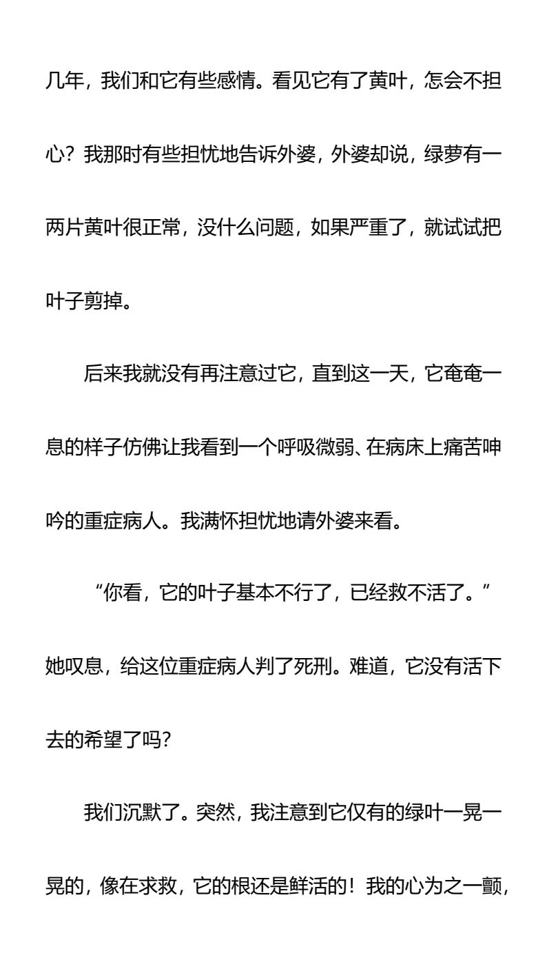 资料预览 第2页