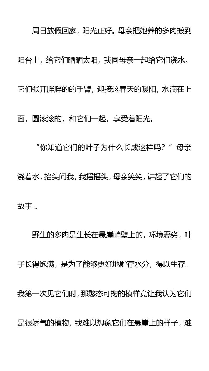 资料预览 第2页