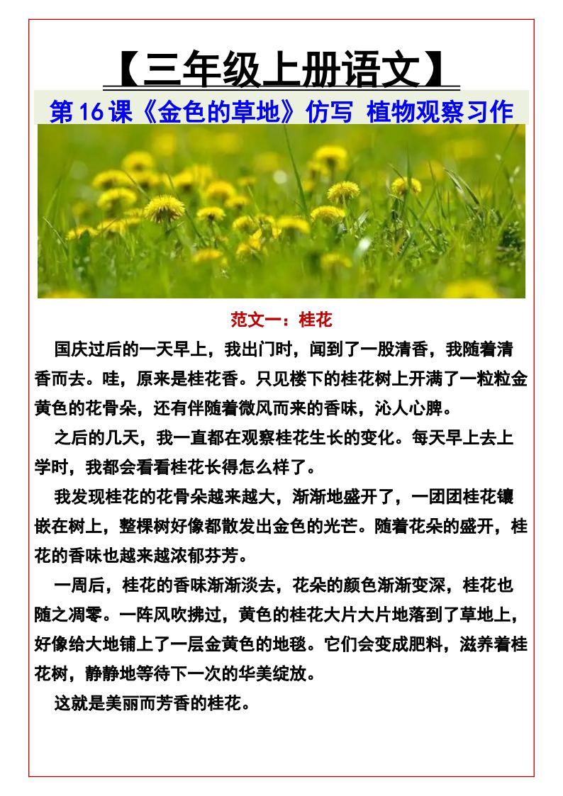 资料预览 第1页