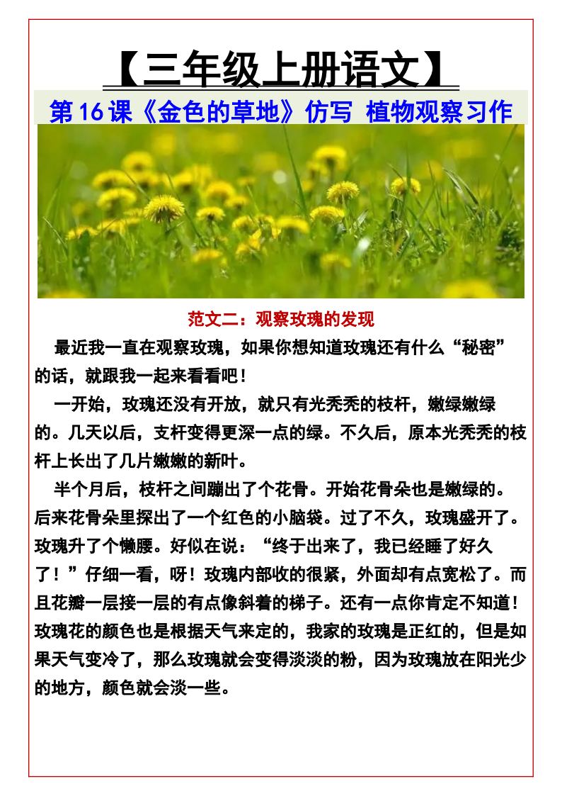 资料预览 第2页