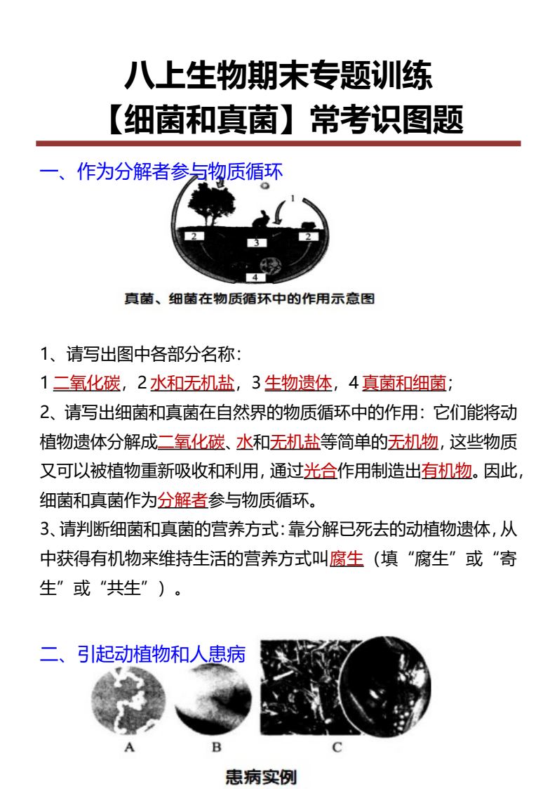 资料预览 第1页