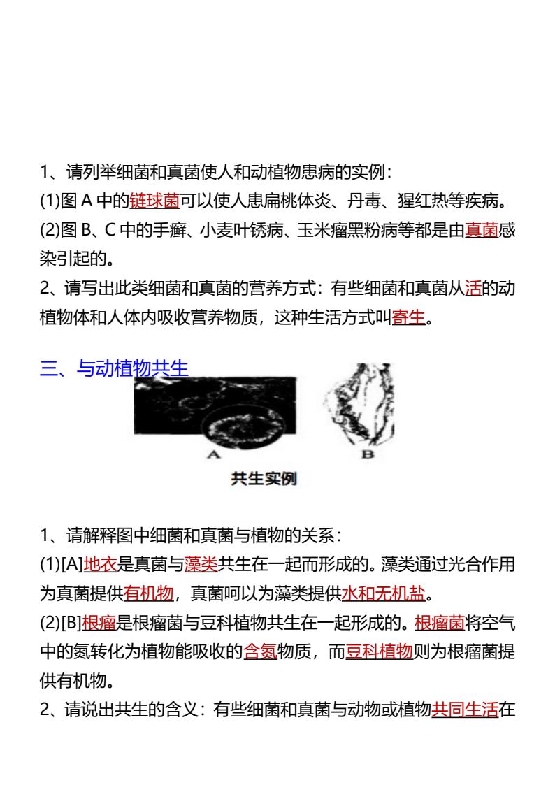 资料预览 第2页