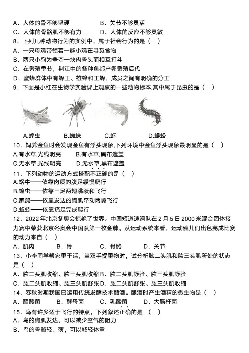 资料预览 第2页