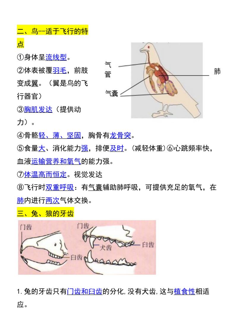 资料预览 第2页