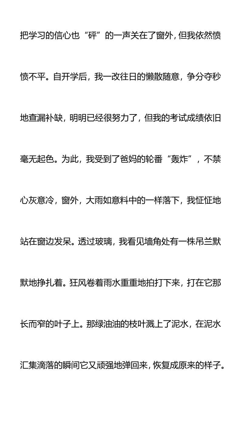 资料预览 第2页