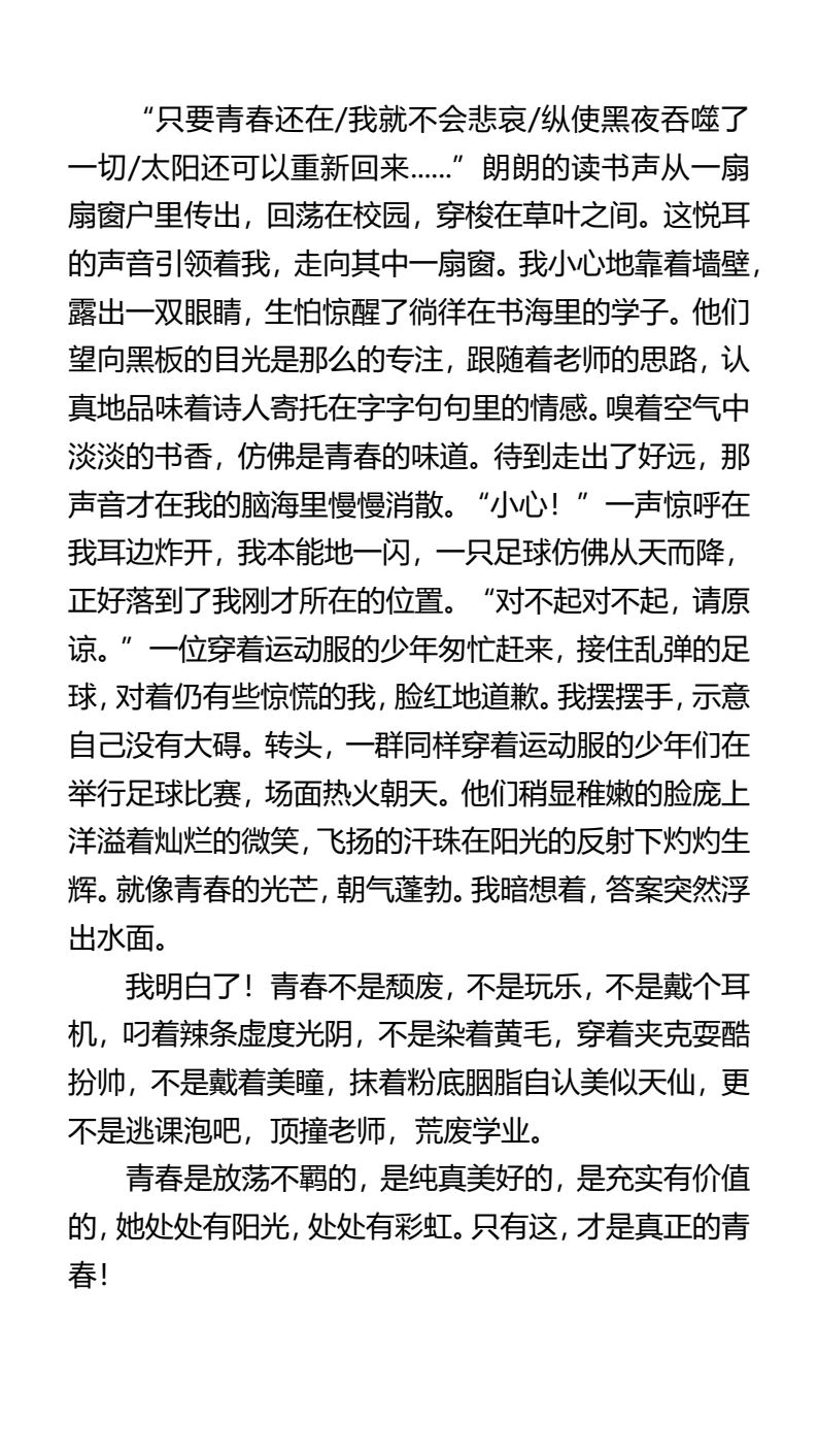 资料预览 第2页