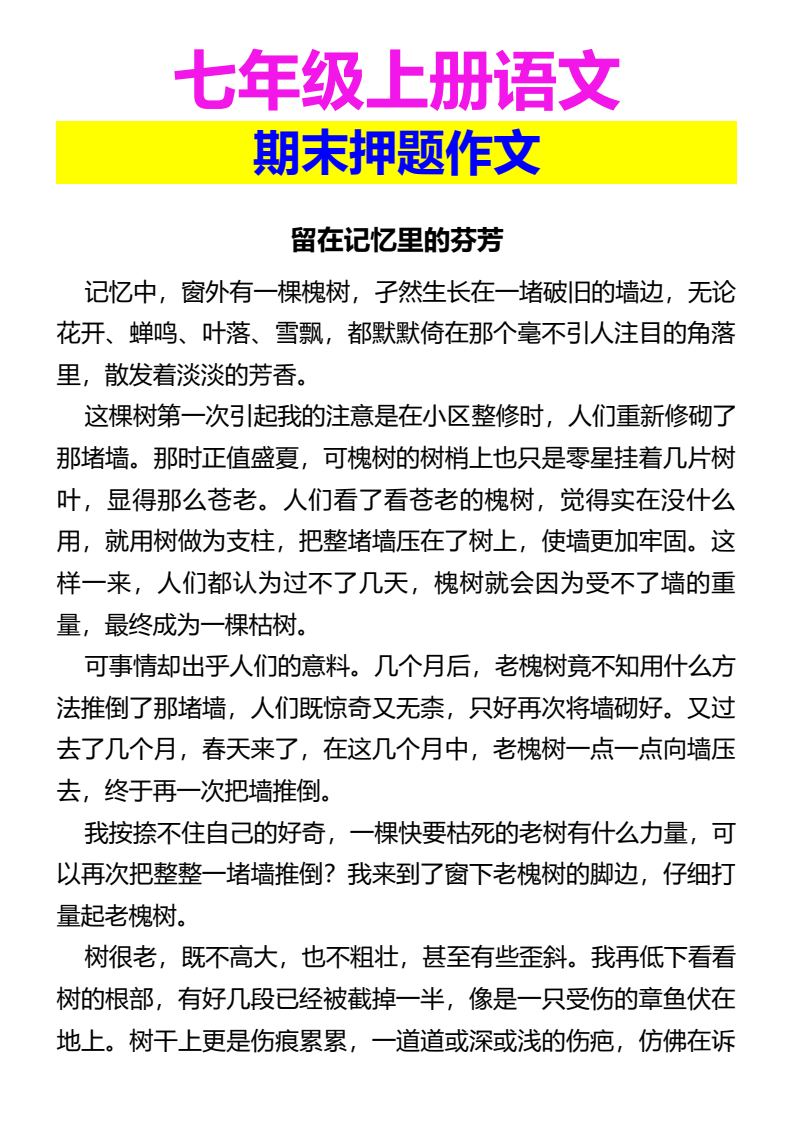 资料预览 第1页
