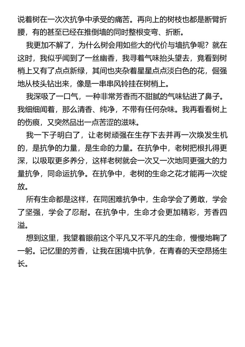资料预览 第2页