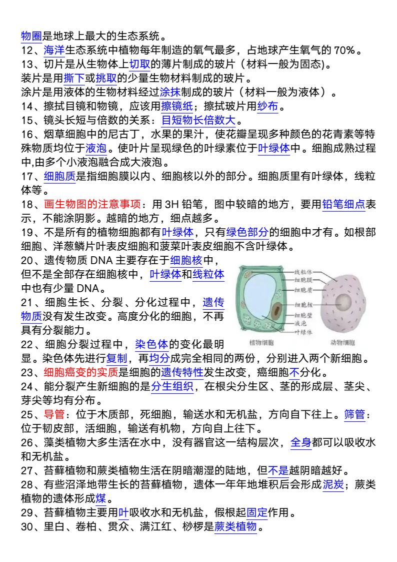 资料预览 第2页