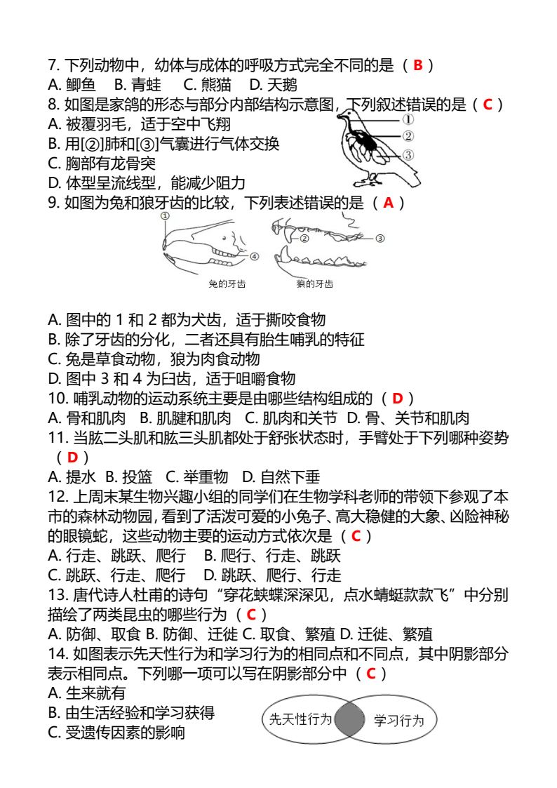 资料预览 第2页