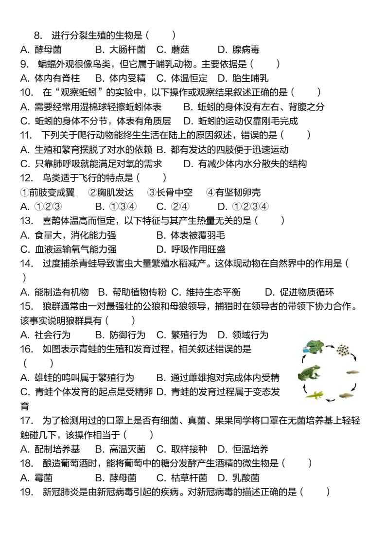 资料预览 第2页