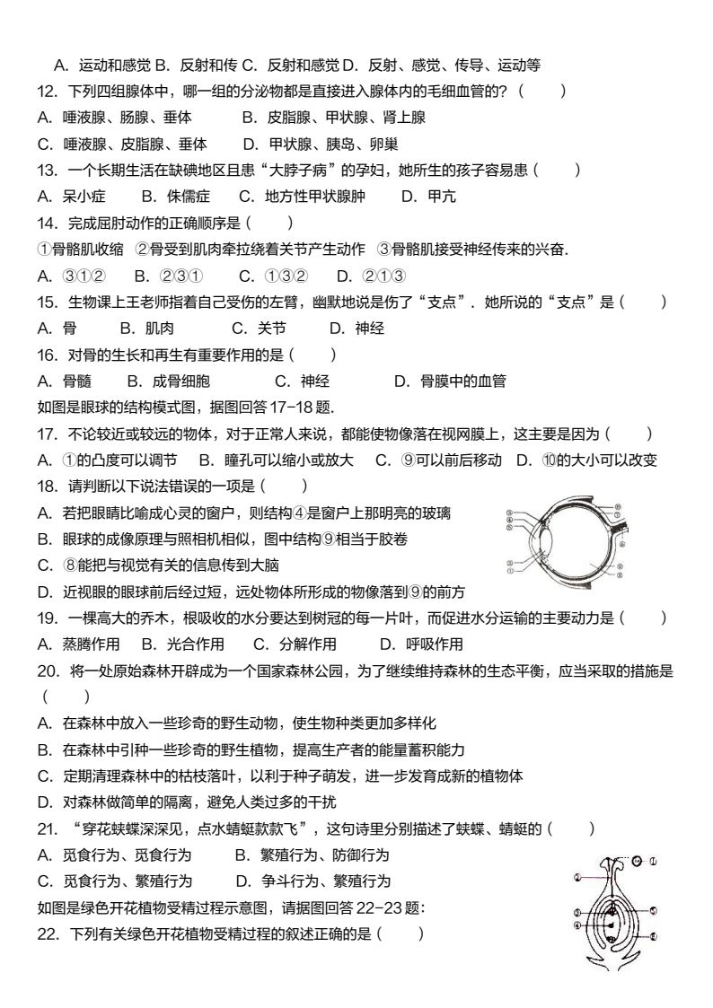 资料预览 第2页