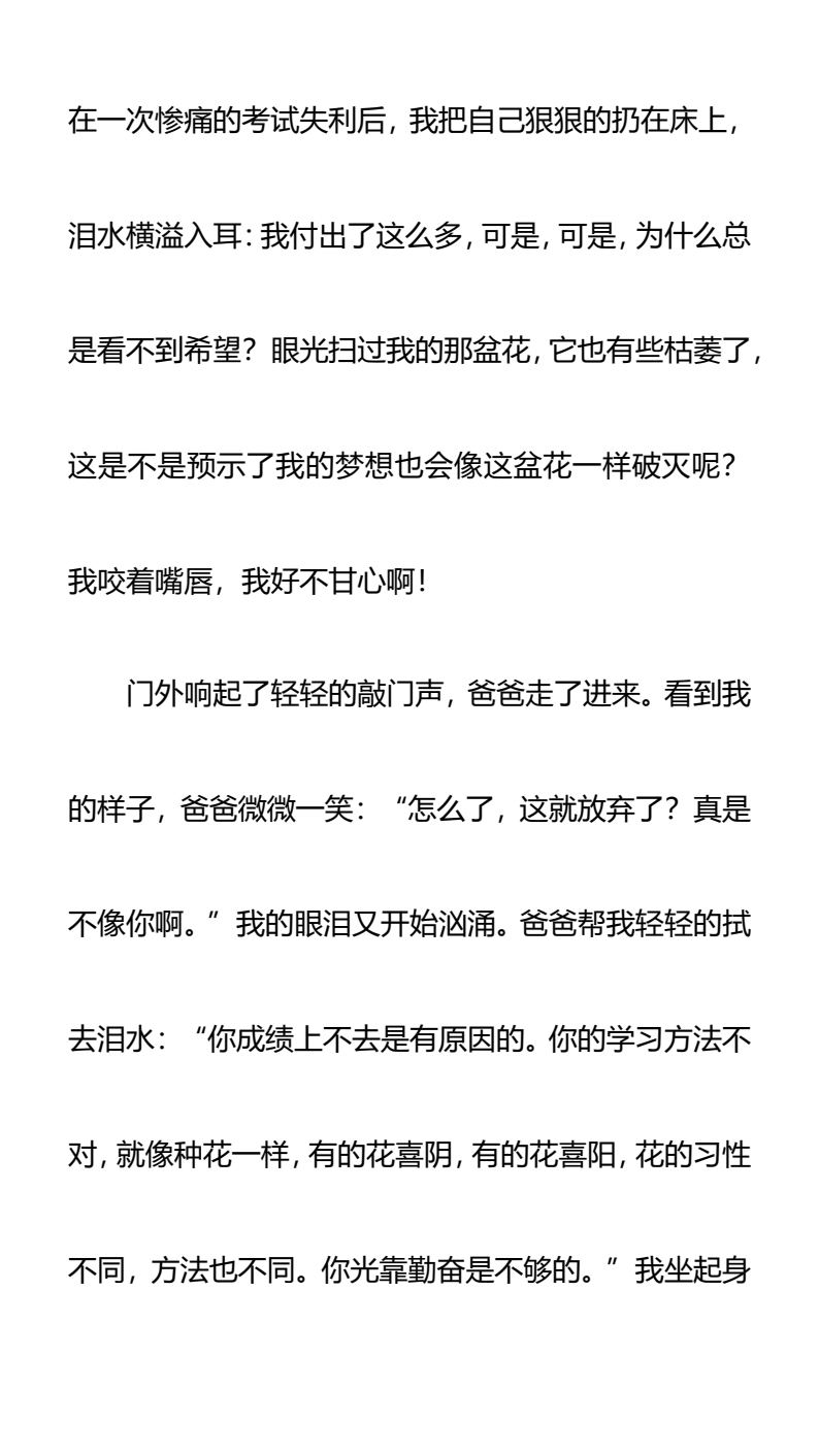 资料预览 第2页