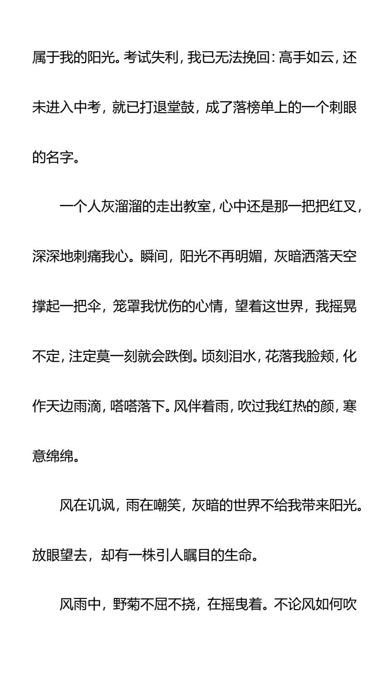 资料预览 第2页