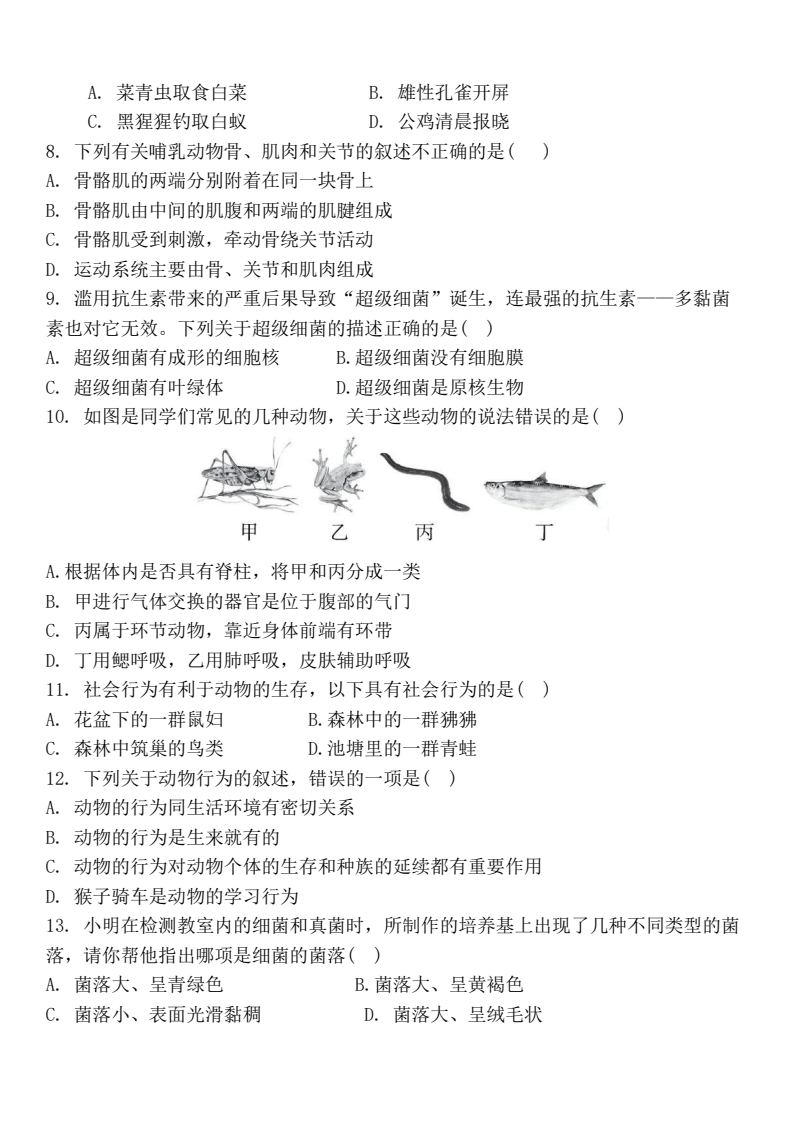 资料预览 第2页