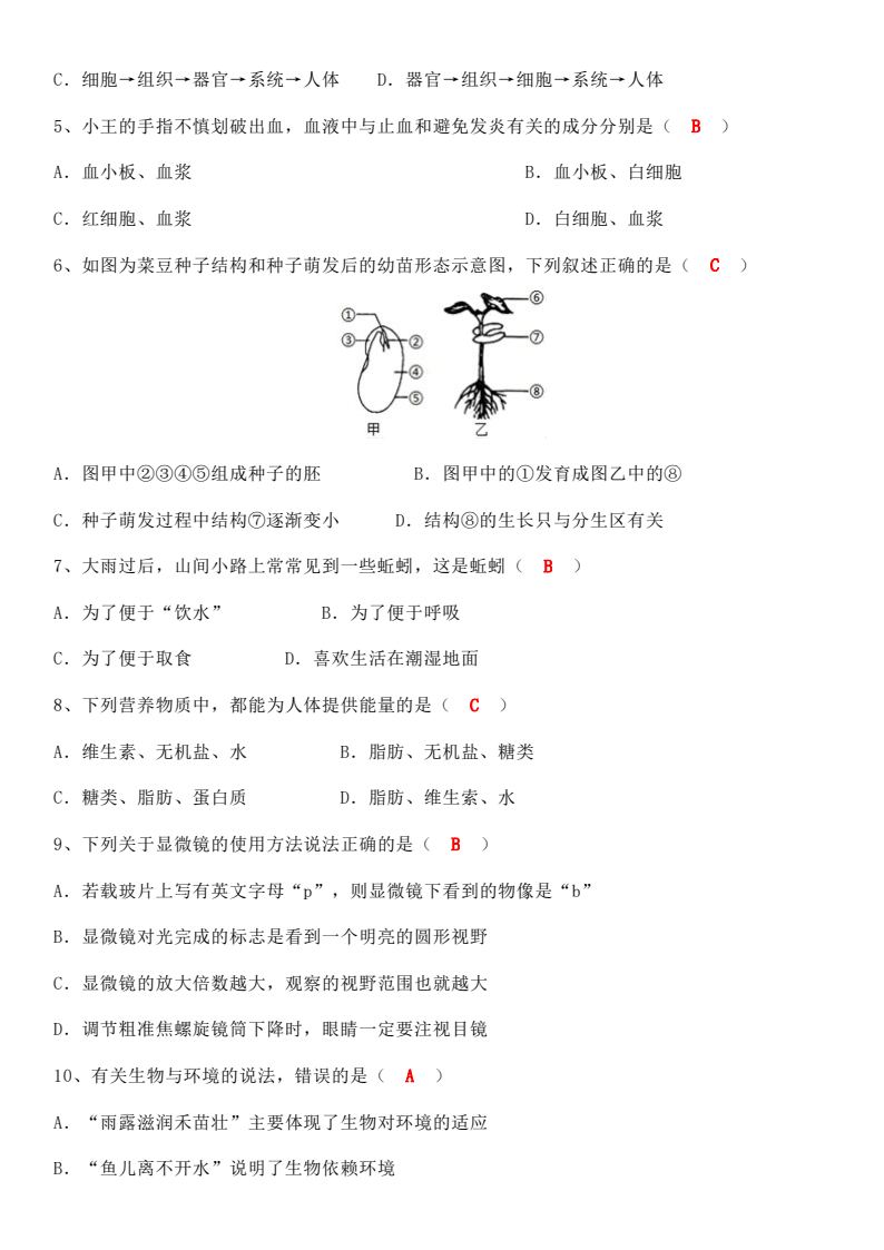 资料预览 第2页