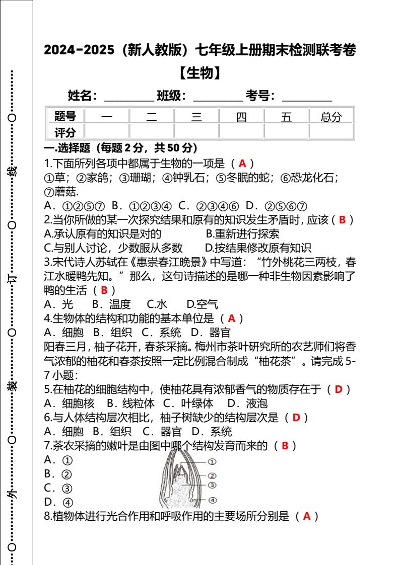 资料预览 第1页