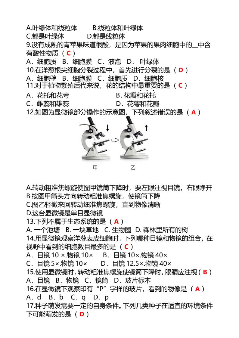 资料预览 第2页