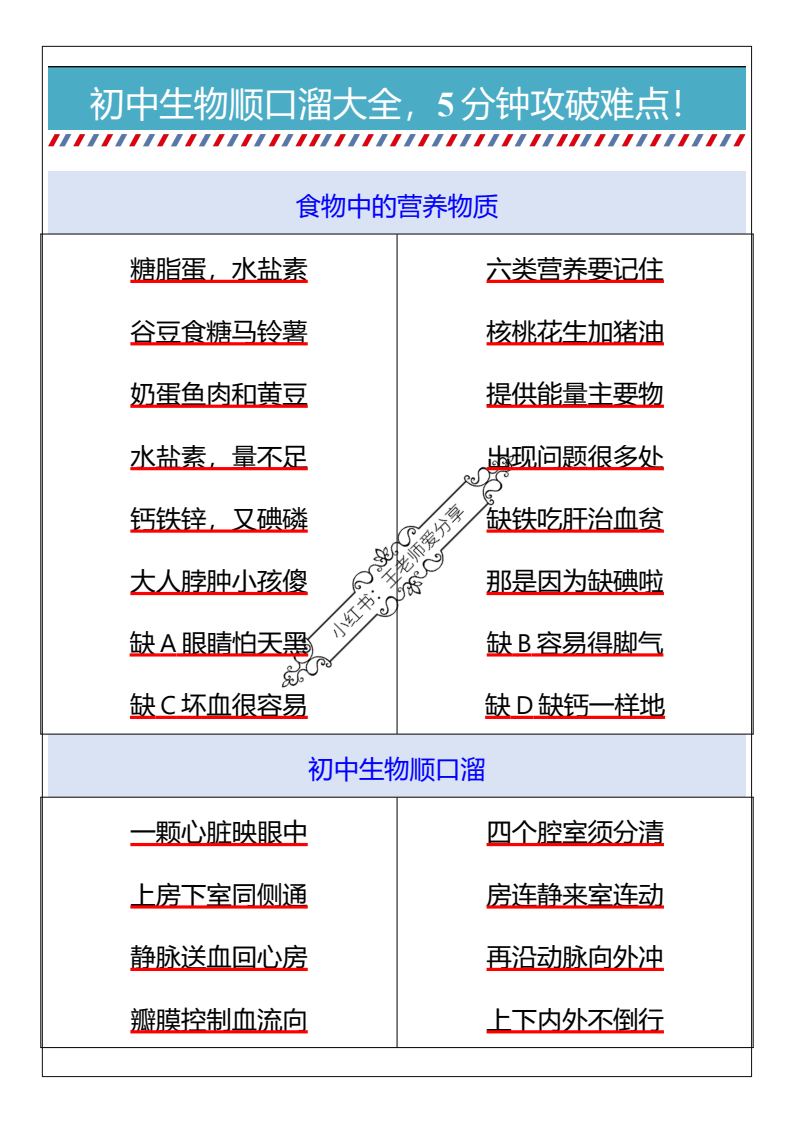 资料预览 第1页