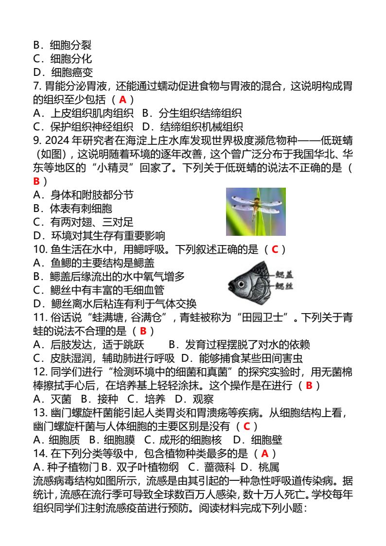 资料预览 第2页