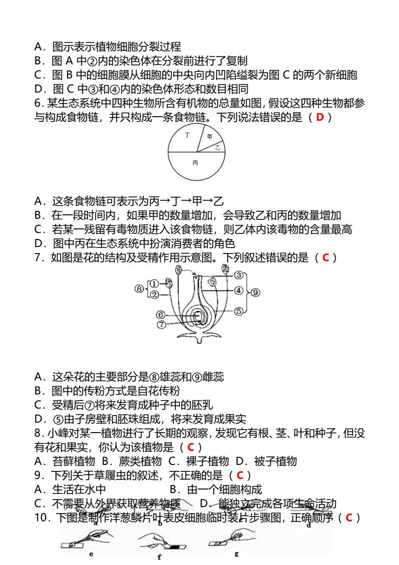 资料预览 第2页